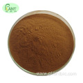 Factory supply pure natural plant extracts extracts Cacumen Platycladi Orientalis extract